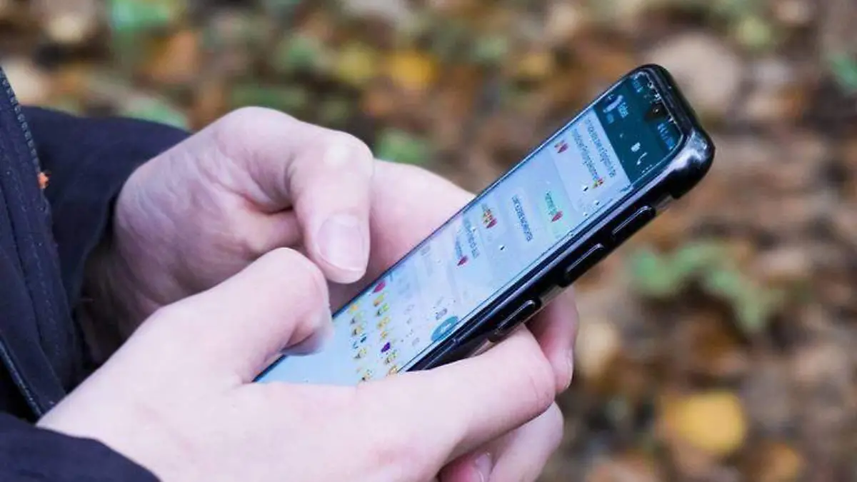 La plataforma de mensajería WhatsApp se ha posicionado como una de las más importantes para la vida diaria