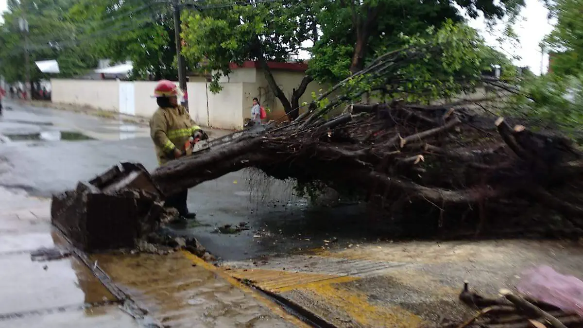 2803ffd3-bca5-469b-84ed-20341ee6af22