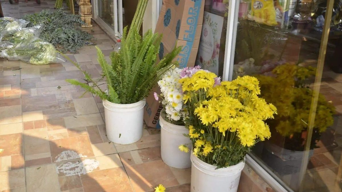 Aumenta precio de flores previo al Día de Muertos
