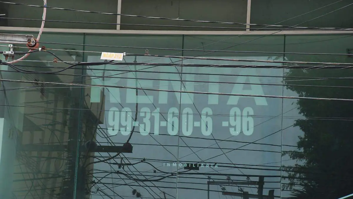 b1356a00-c048-4a29-8f30-c08afbd2161c