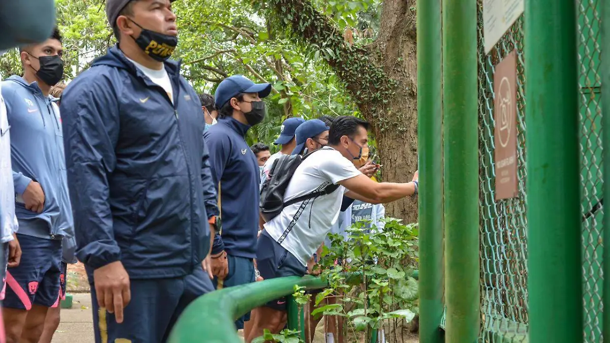 3d30f6b6-c416-48fe-9f49-d7c7b7e7750d