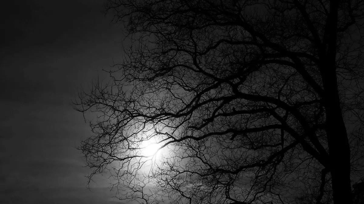 creepy-gf05c29fb7_1920