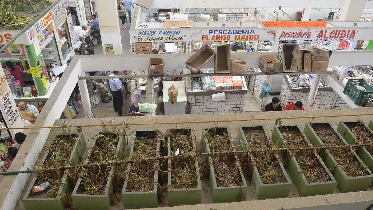 mercado