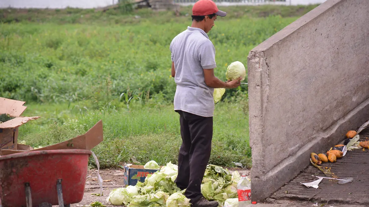LA MERMA EN CENTRAL DE ABASTOS-JCH03