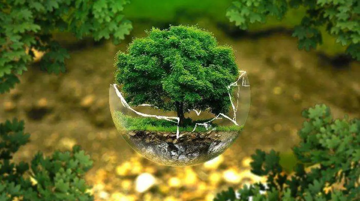 Ecologia