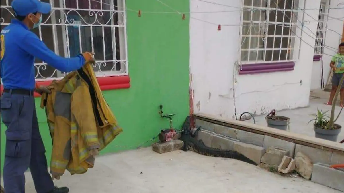 8fa99e9c-aa9e-4b51-b6ab-80289a7bbfef