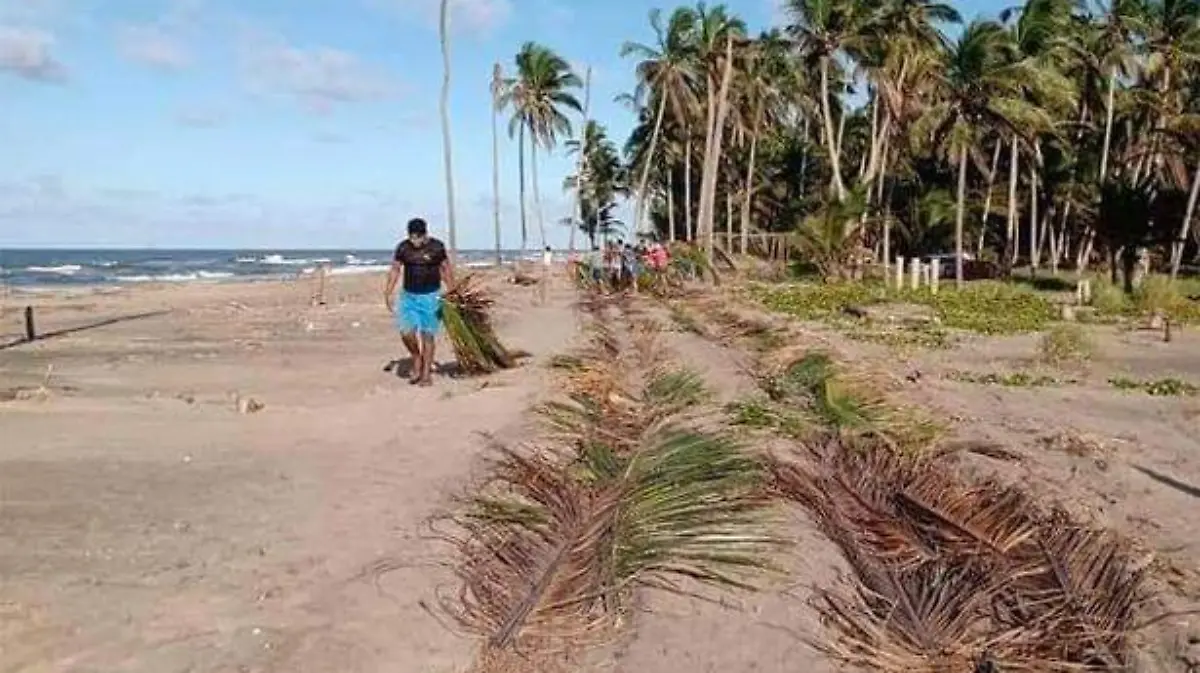 barra