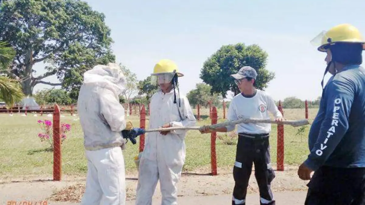 Queman-enjambre-de-abejas-en-Jalpa