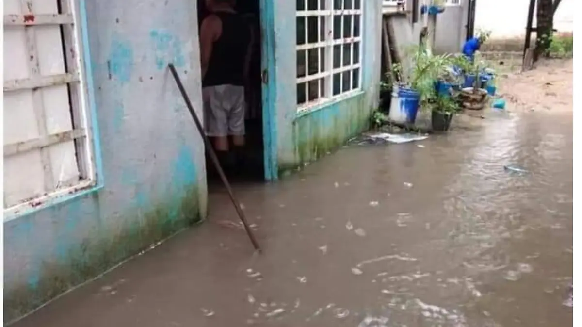 ce882489-9dd5-4121-a6b4-9e95efdade0f