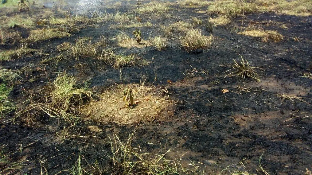 incendio-Proteccióncivil