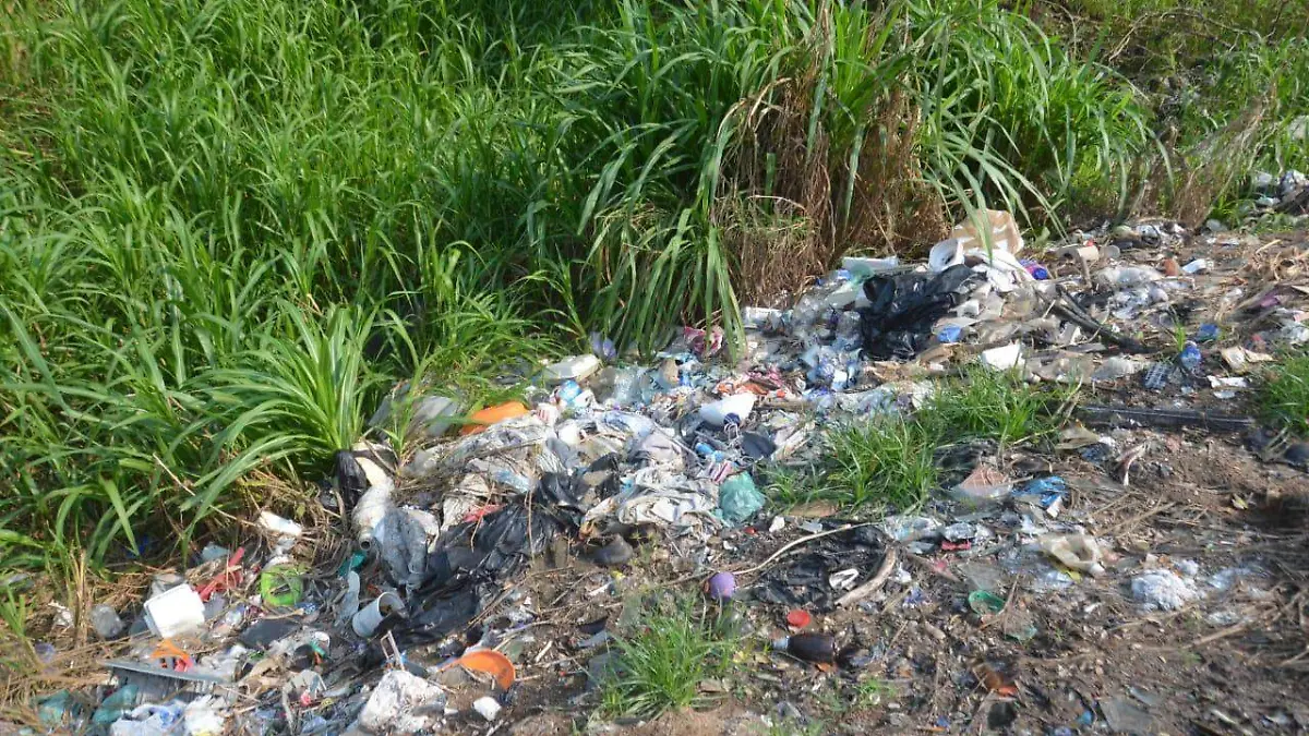 basura1