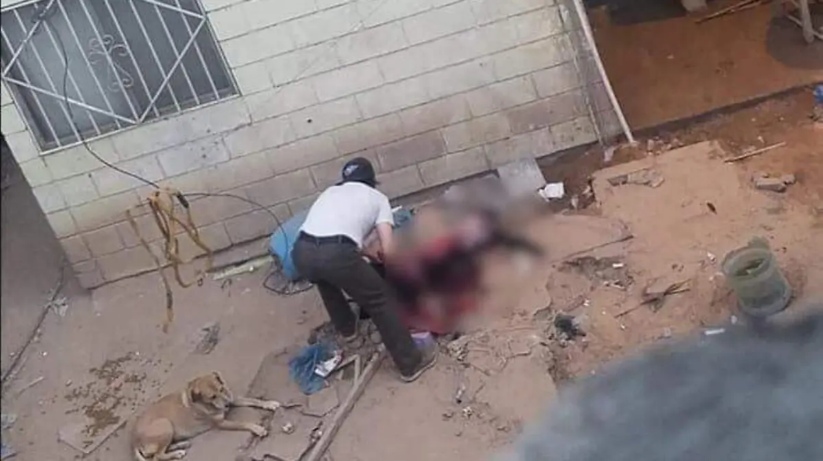 ba8117c6-54ce-4ce1-a81b-f45a43537686