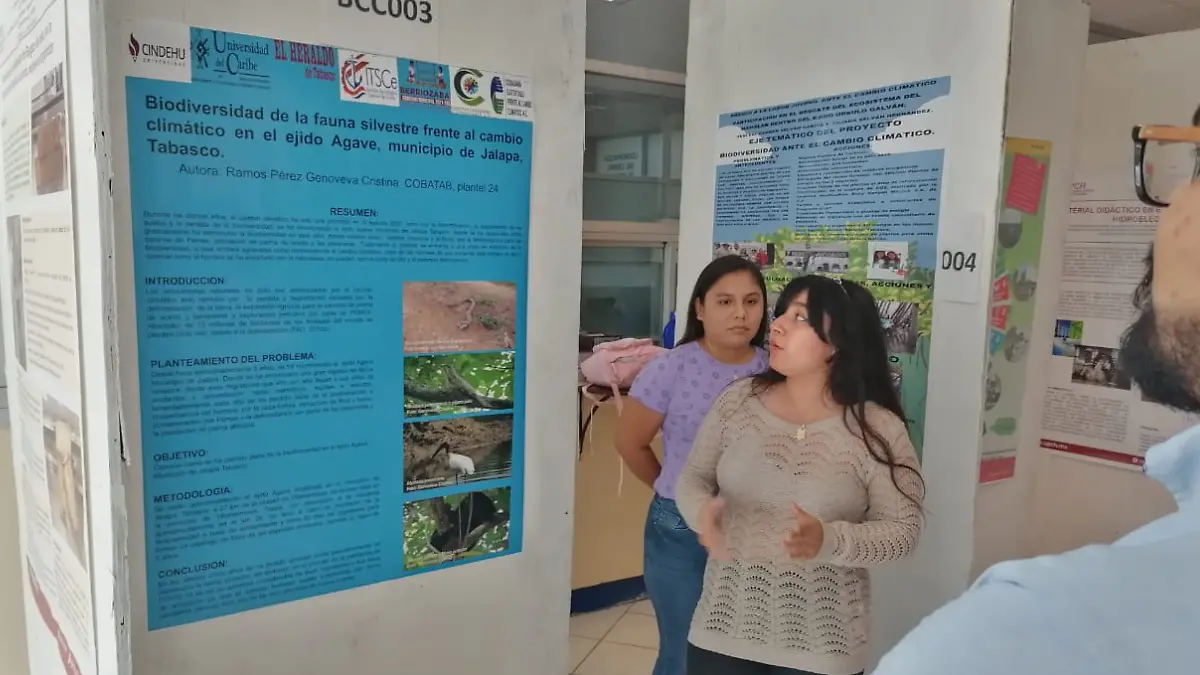 Proyecto nuevo (5)