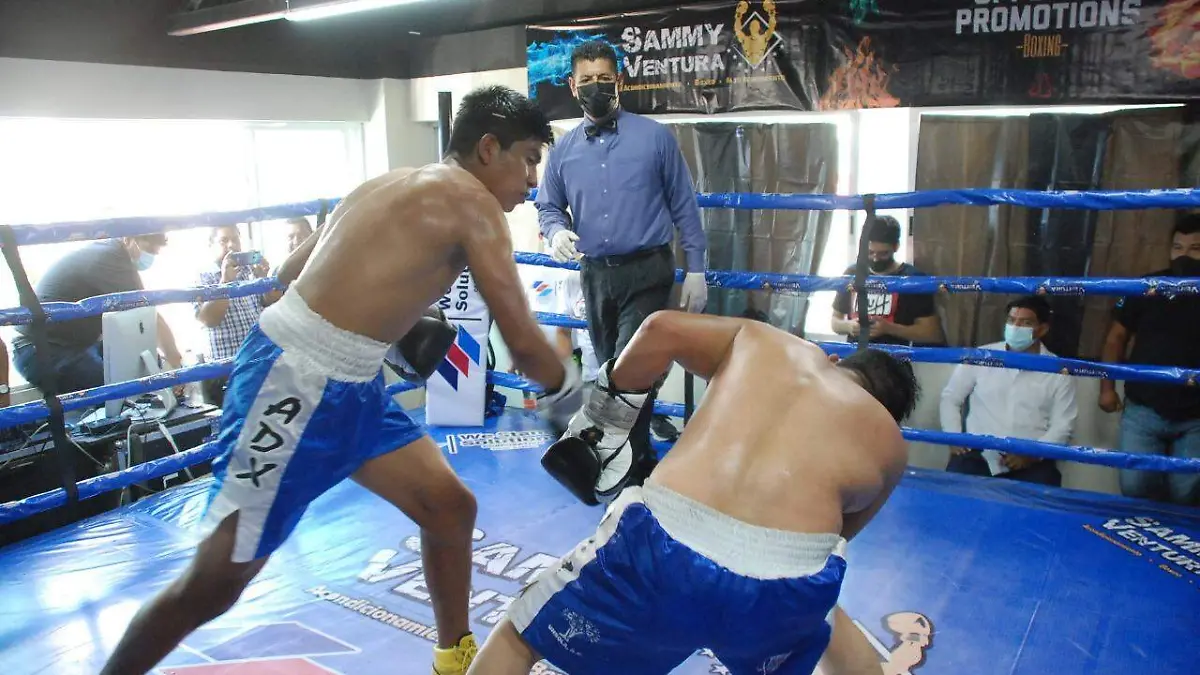 828fcc3f-88d6-4028-bff7-568004f9d0be