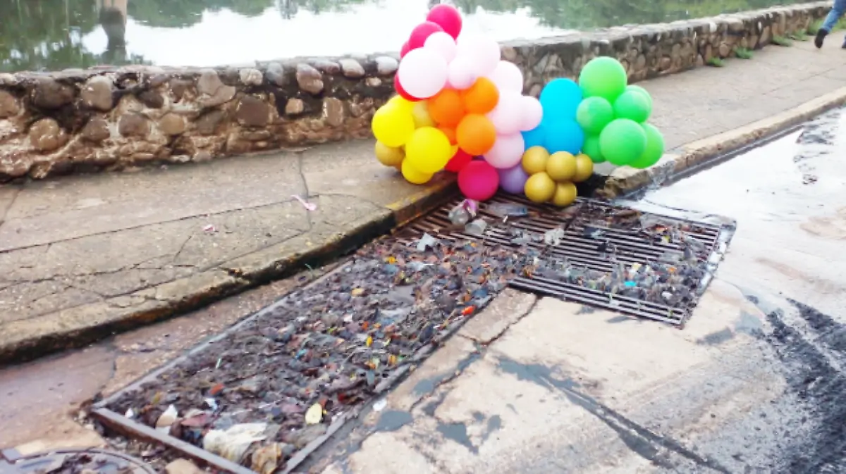 Contaminación basura