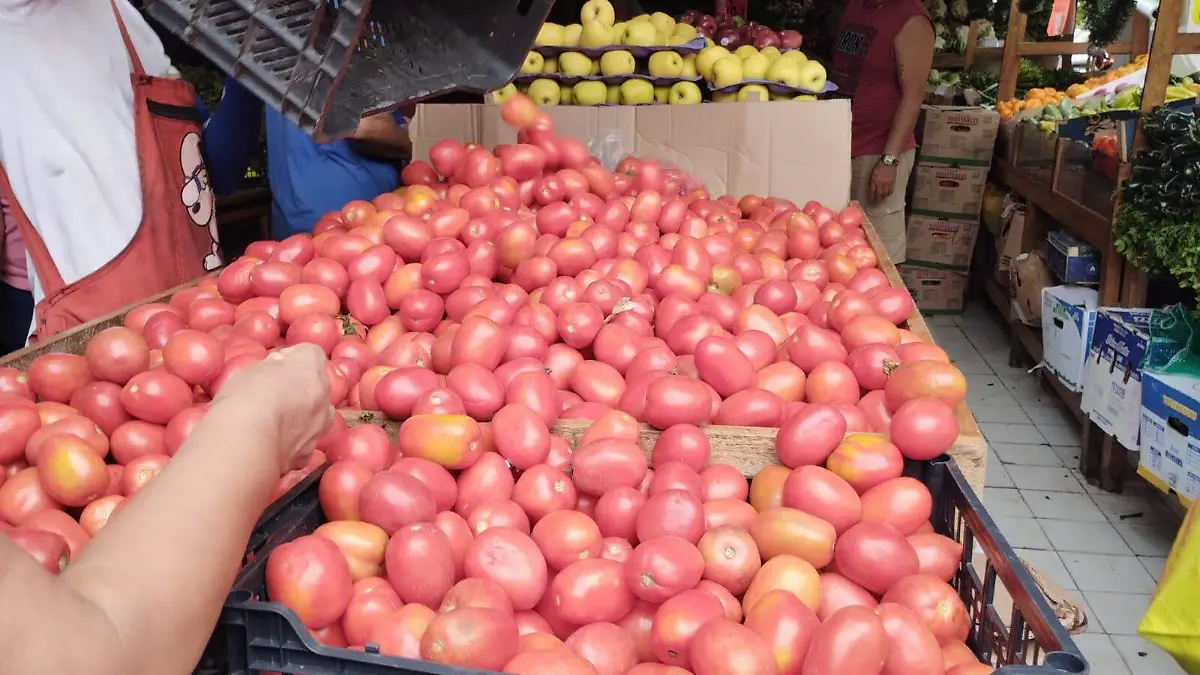 tomate precio