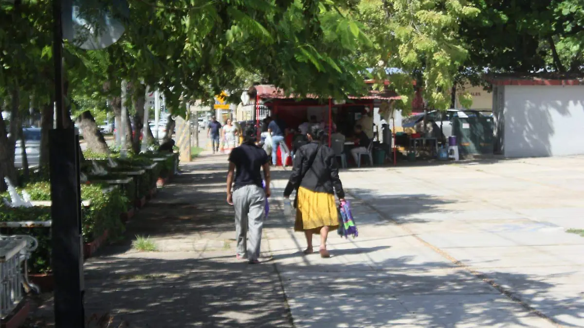 WhatsApp Image 2024-12-03 at 3.34.40 PM