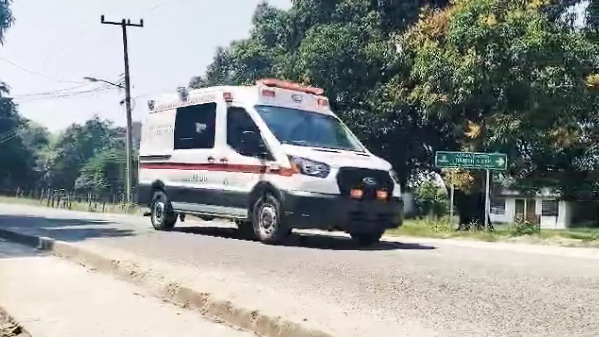 ambulacia