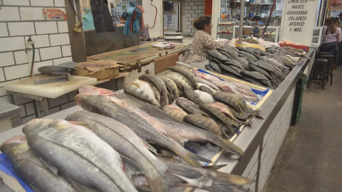 pescado uno.jpeg