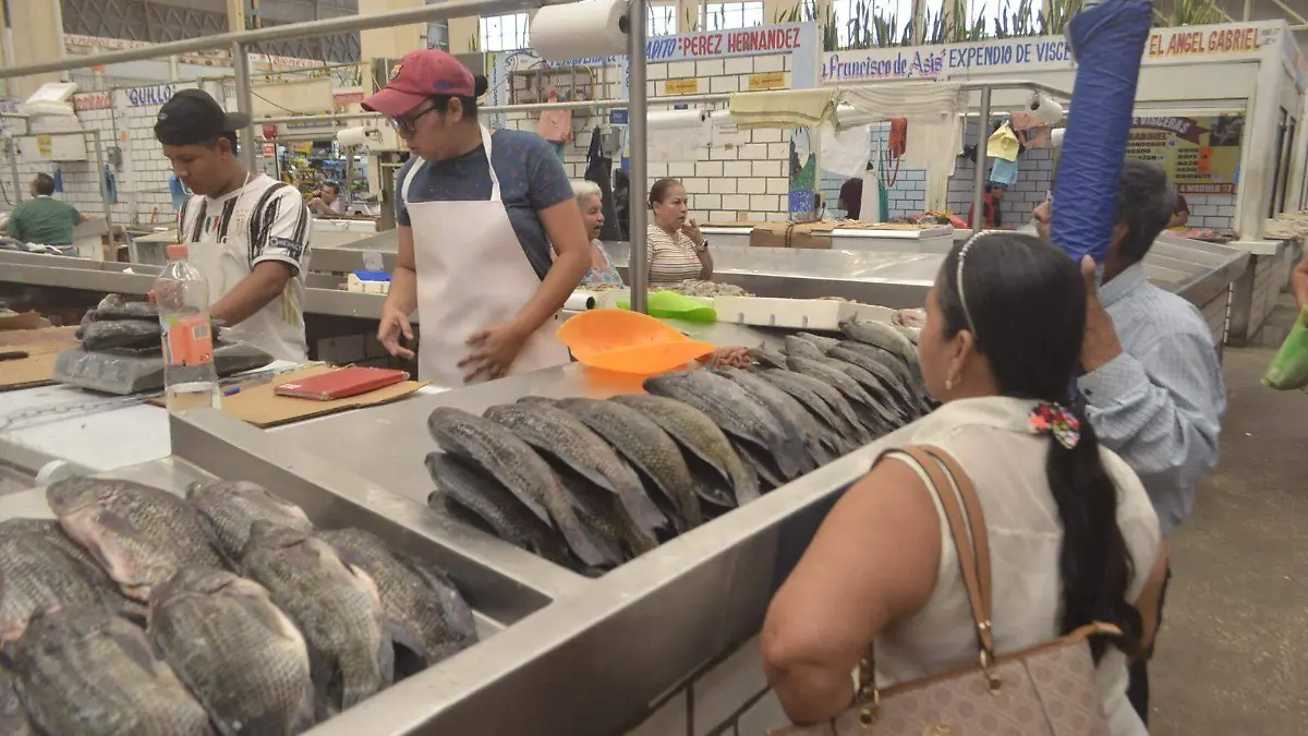 peces.jpeg
