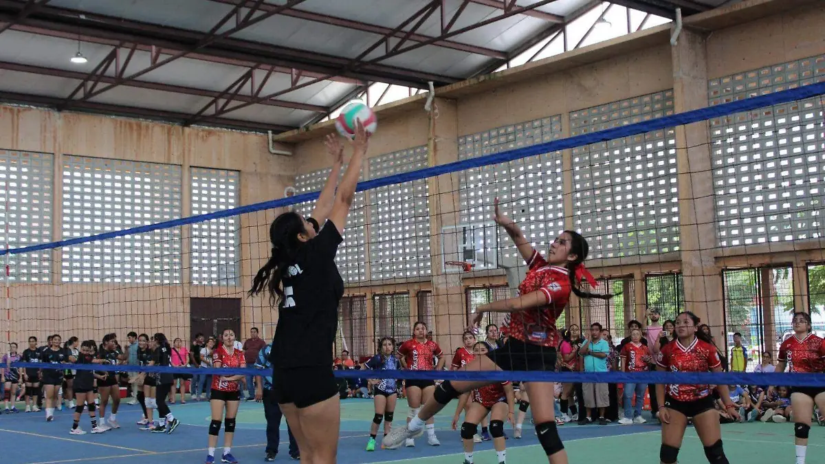 voleibol