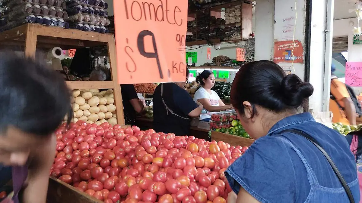 Precio-Del-Tomate copia