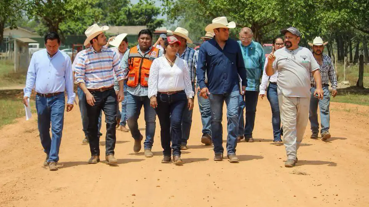 ganaderos.jpeg