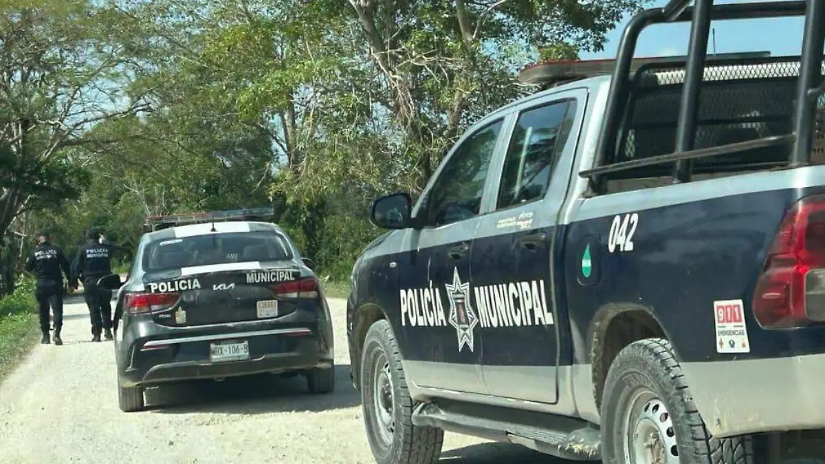 patrullas de la policia