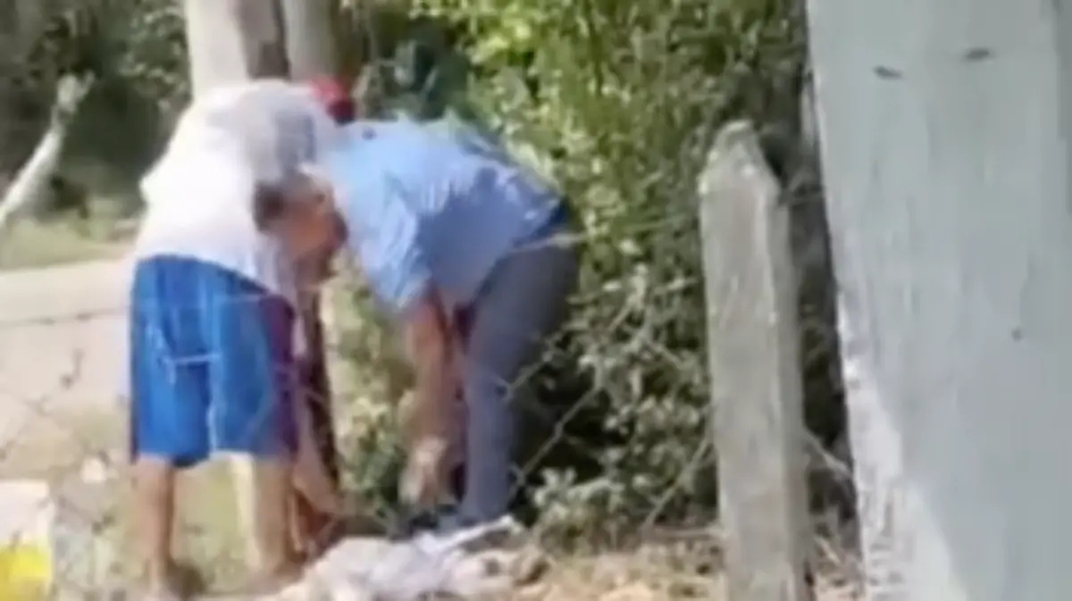 Captura de pantalla 2025-03-26 a la(s) 14.57.22