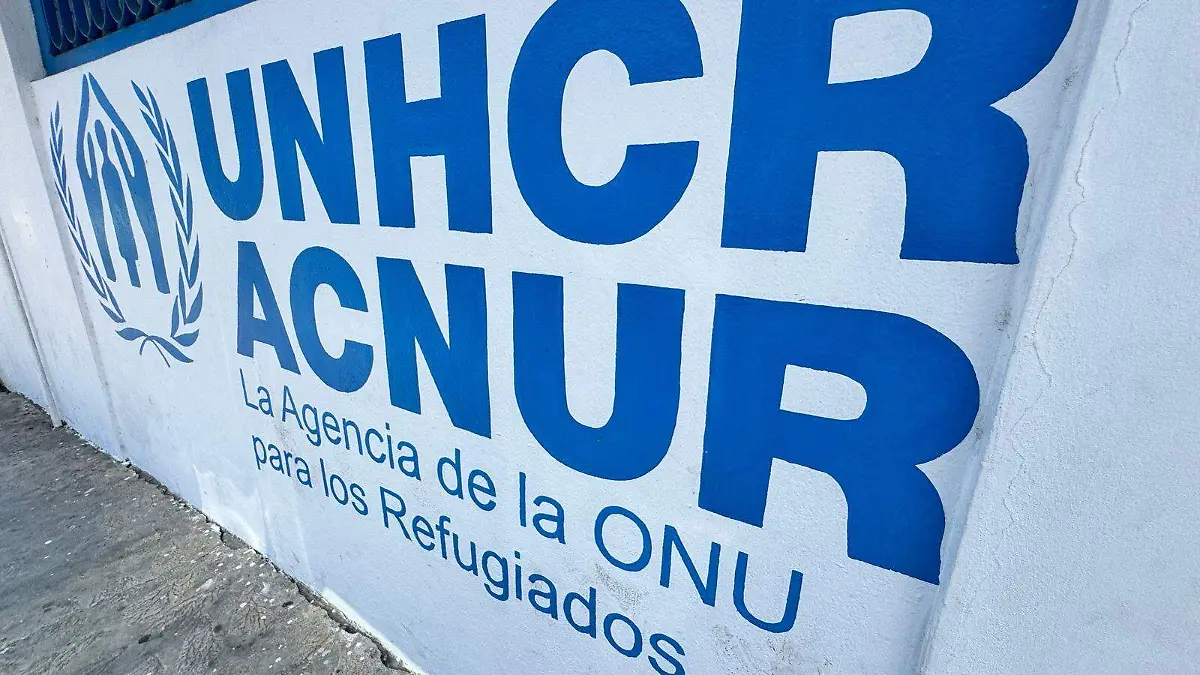 migrantes  sdfdf