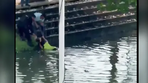 rescate