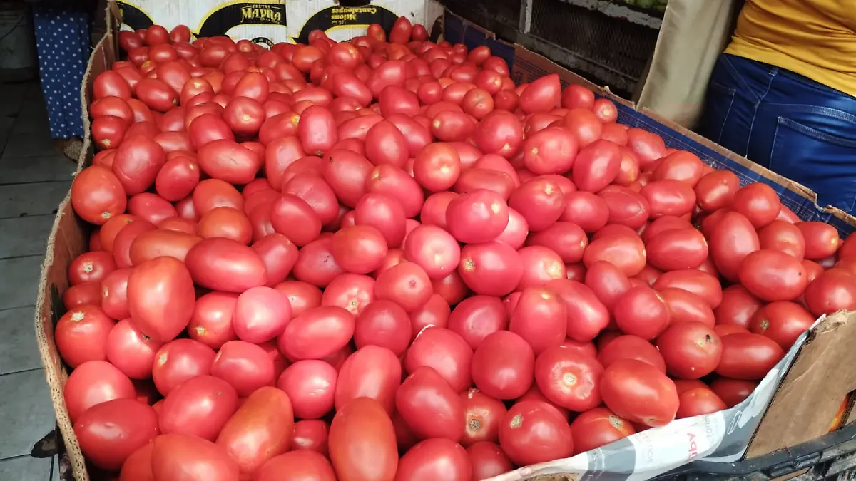 tomate