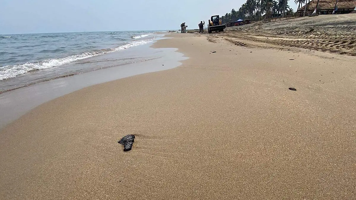 Playa copia