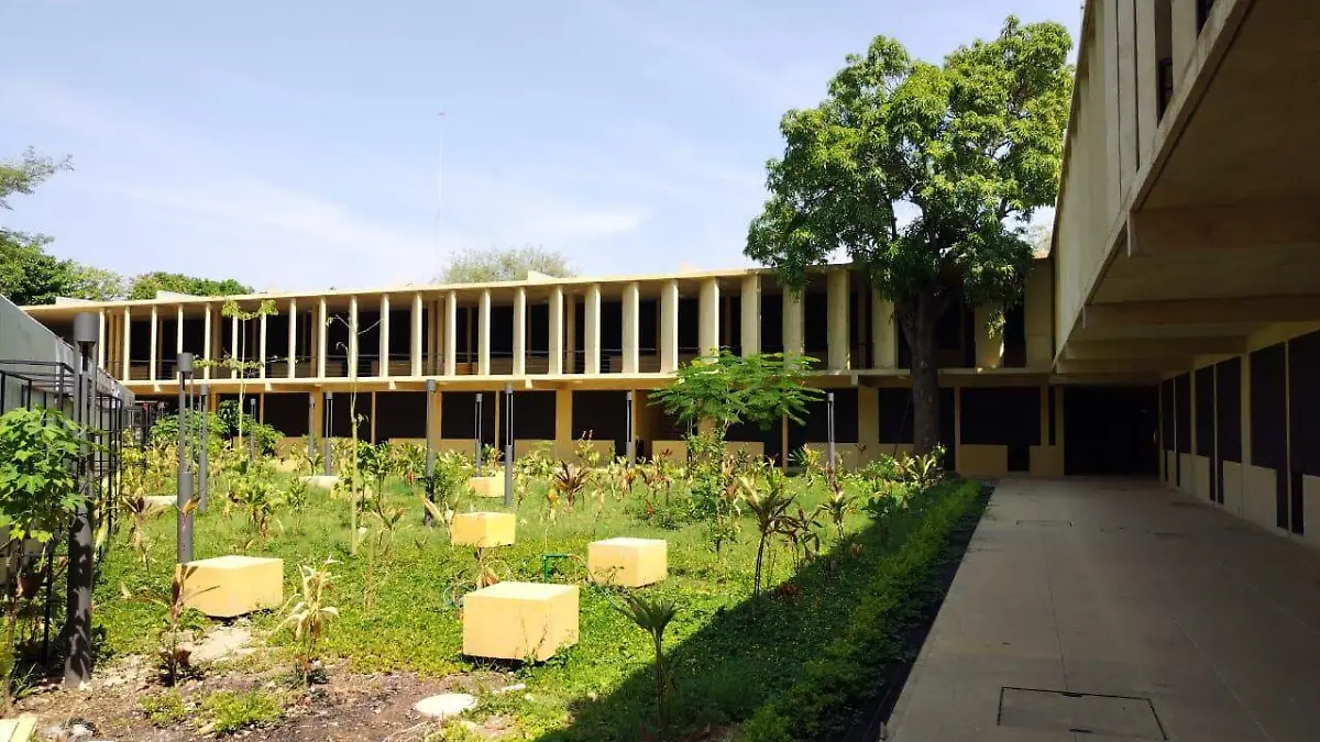 mercado 5
