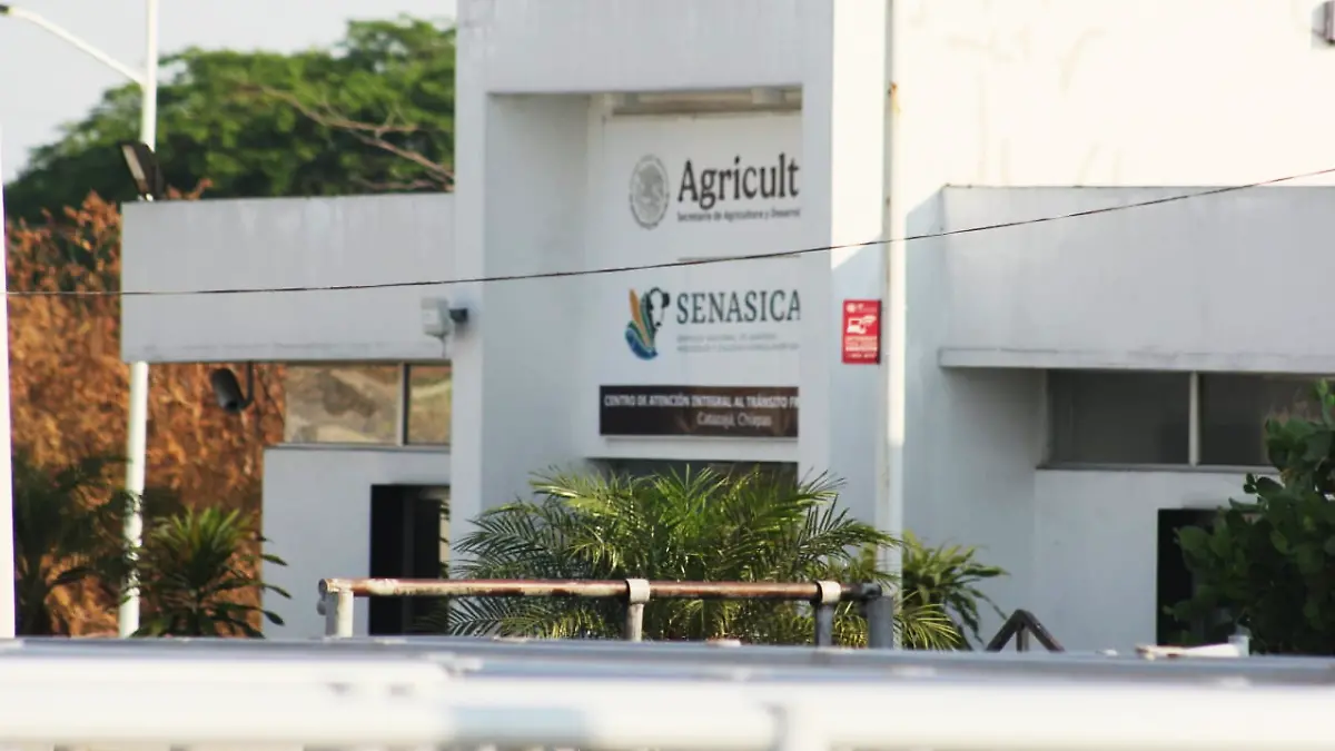 SENASICA