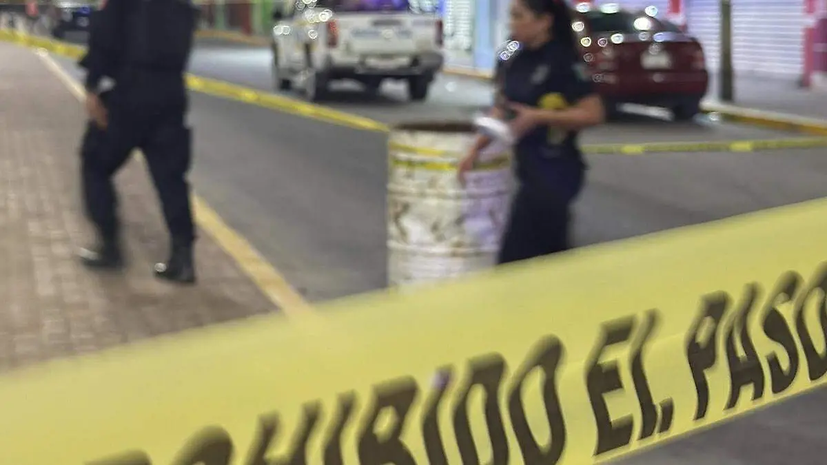 Policias copia