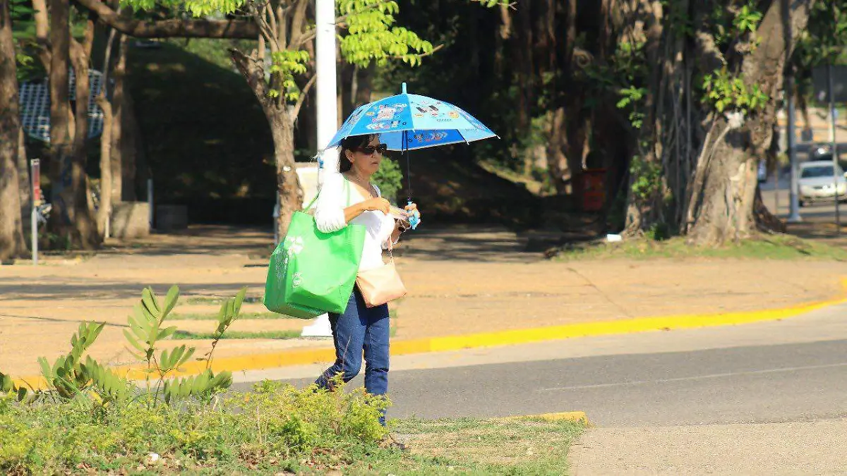 calor 1