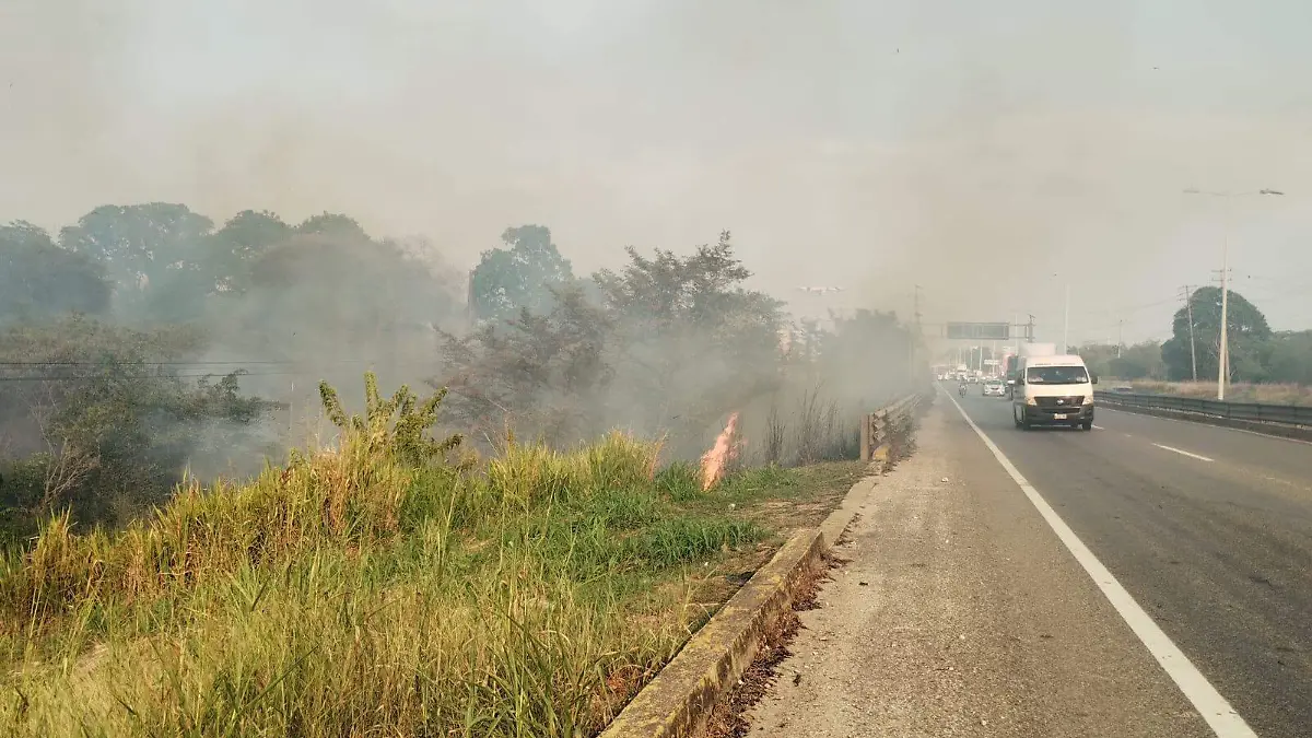 Incendio pastizal