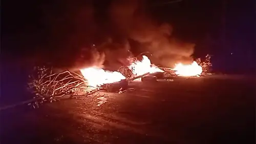 Ramas-Encendidas-En-La-Carretera