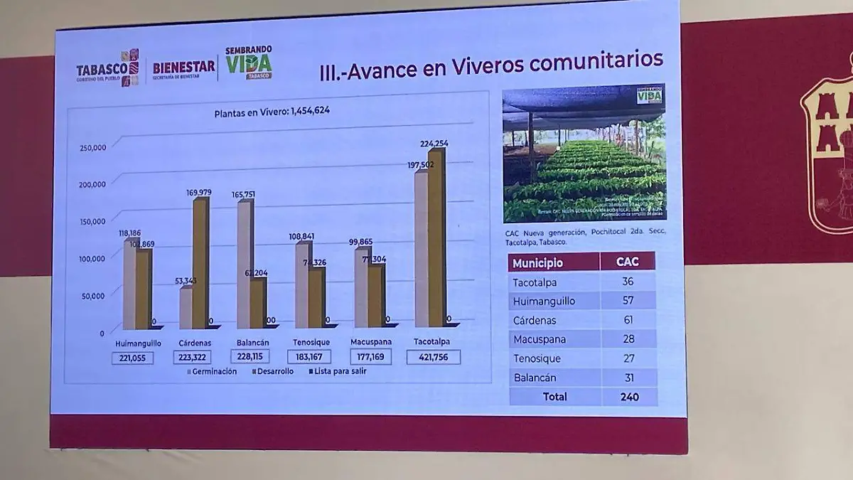Viveros comunitaros