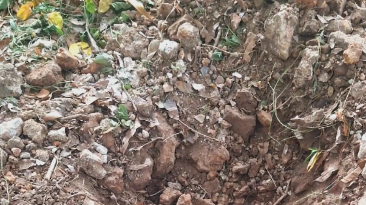 Proyecto nuevo