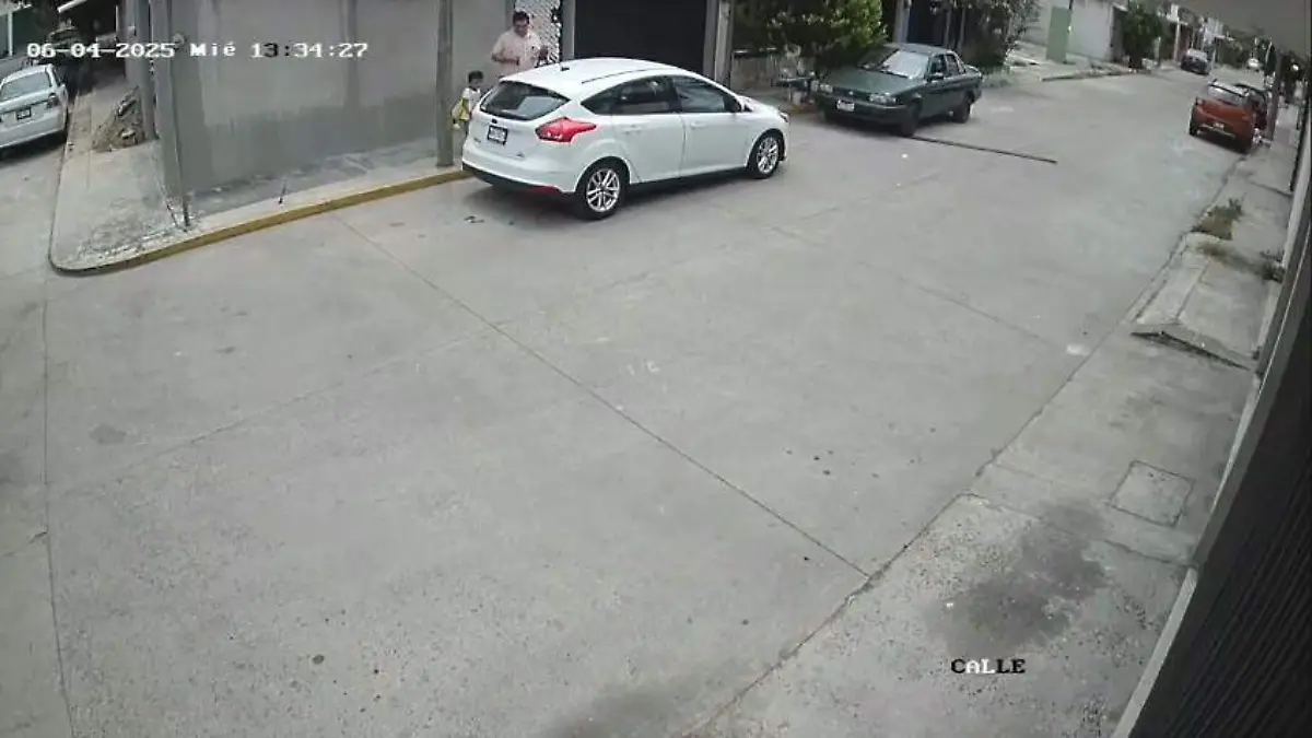 secuestro parental 1