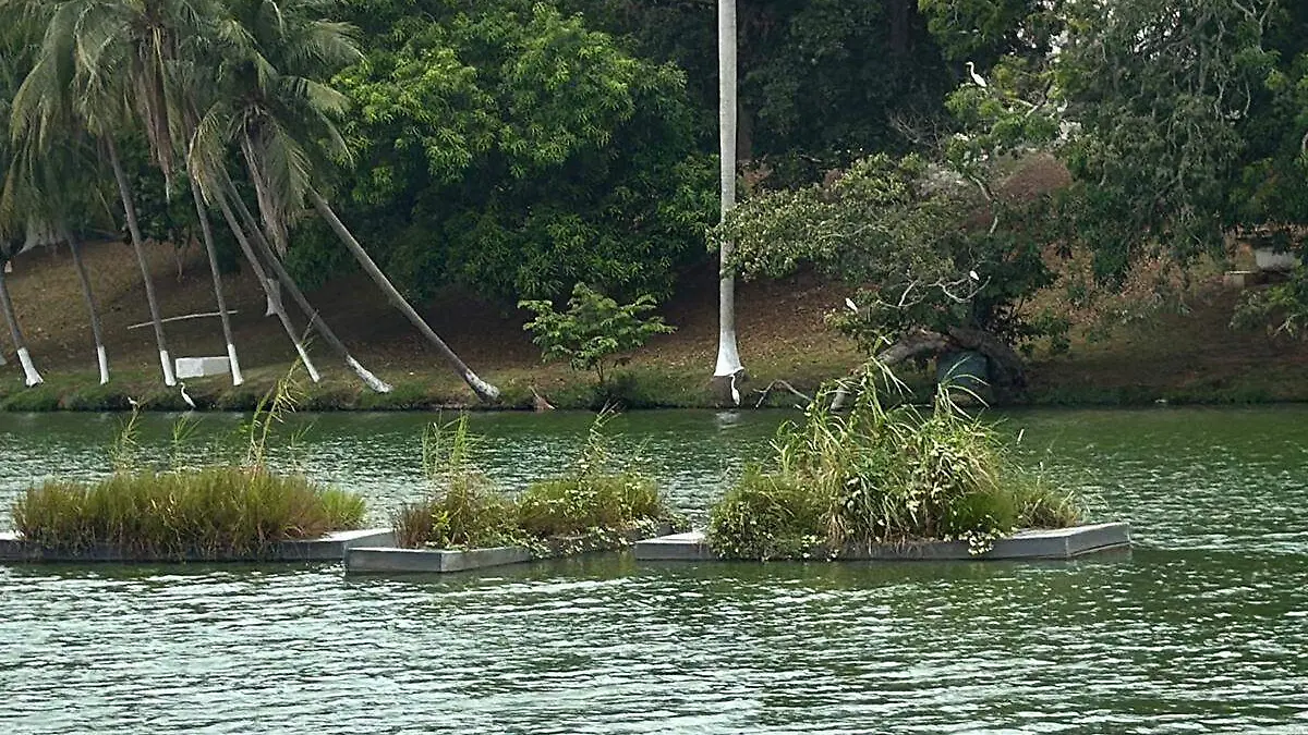 Laguna-De-Las-Ilusiones