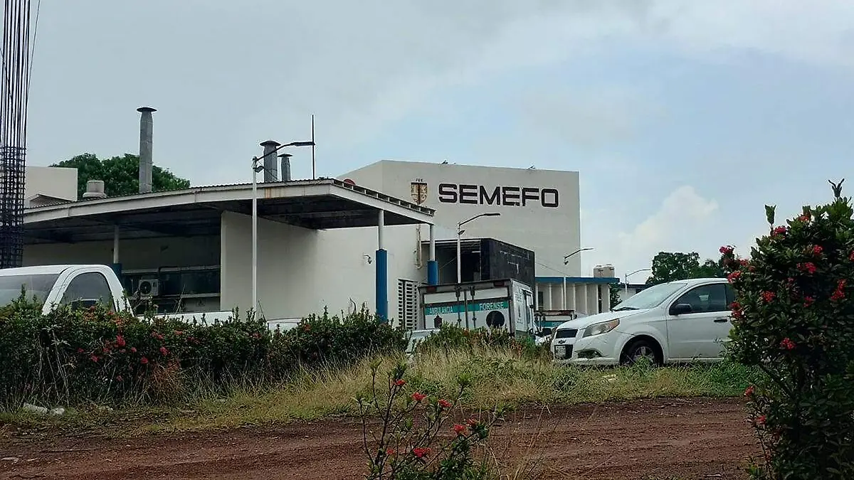 Semefo4 copia
