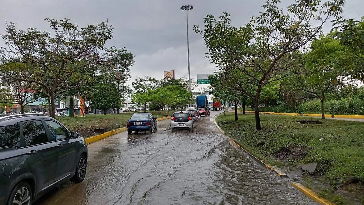 Foto-Para-El-Clima copia