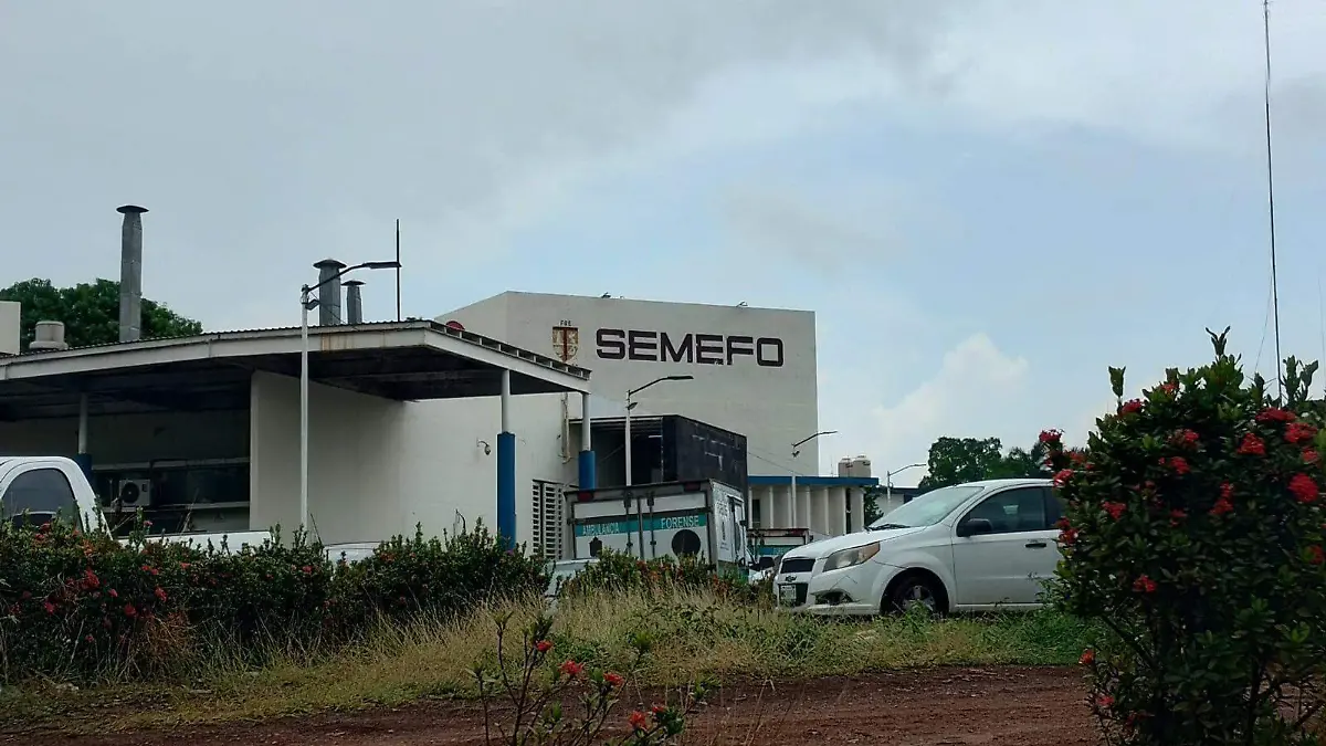 semefo viviann