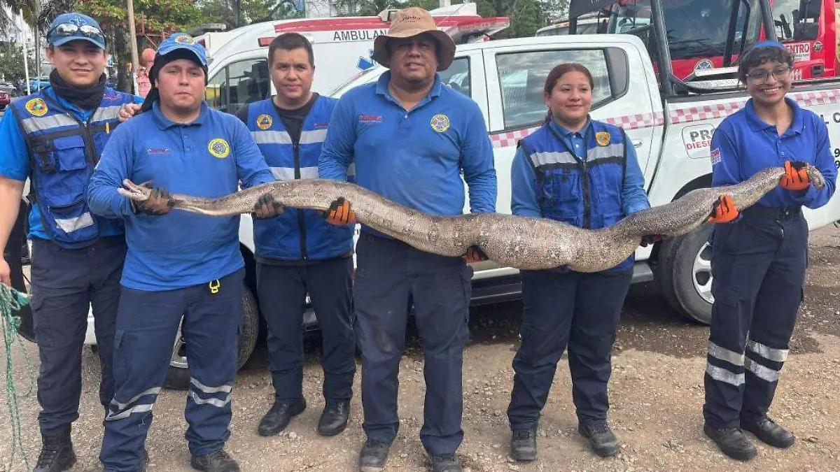 serpiente 1