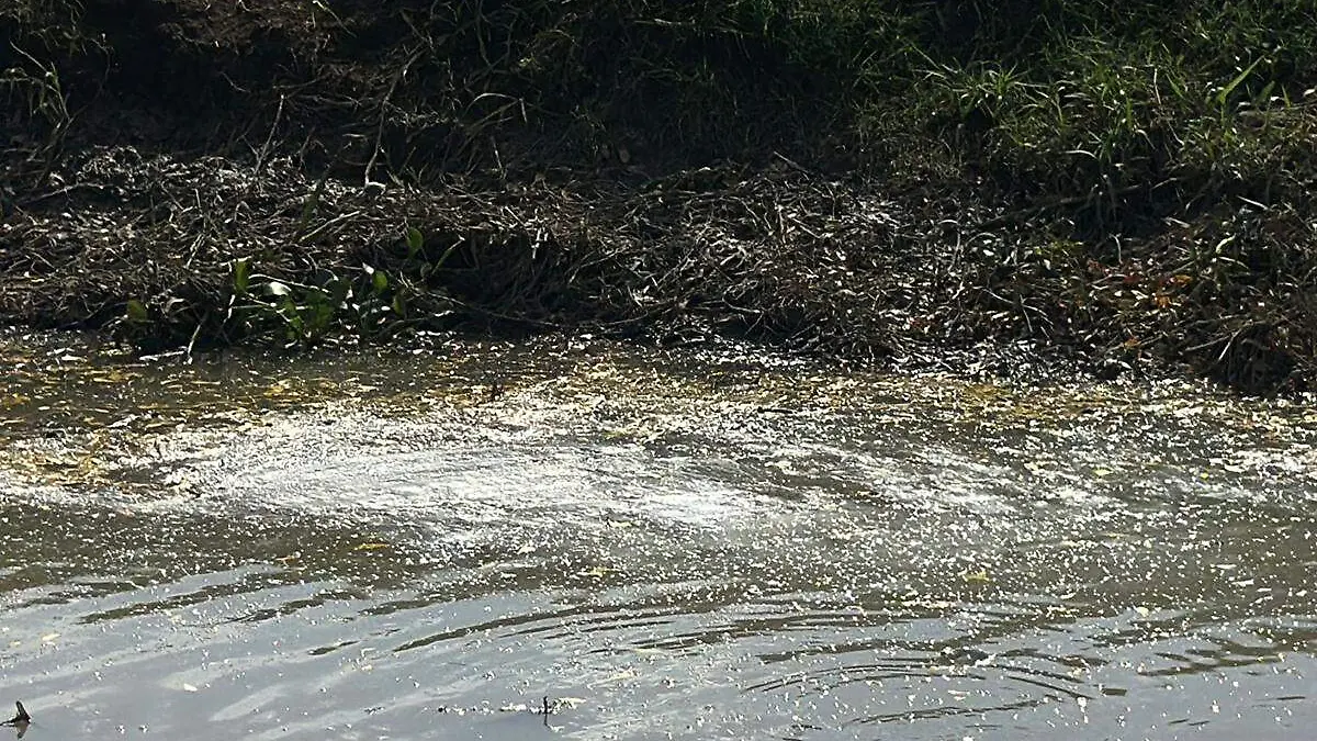 Arroyo-Luce-Blancuzco