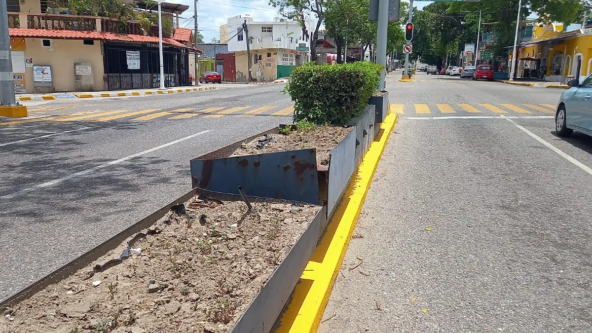jardineras 1