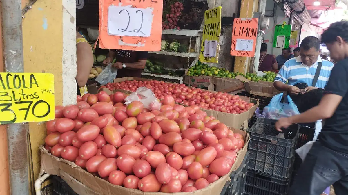 tomate julio